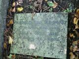 image of grave number 664007